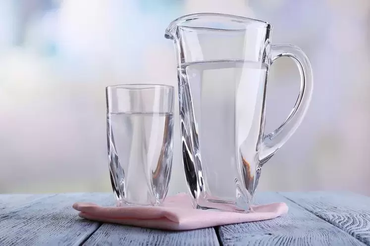 dieta de agua potable